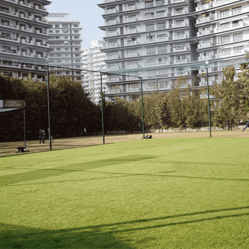 cricket turf in delhi ncr